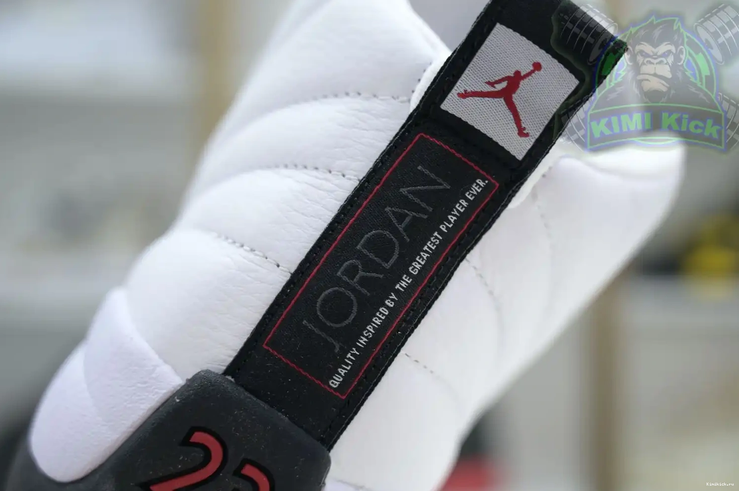 Jordan 12 Air Kimikick Jordan 0504